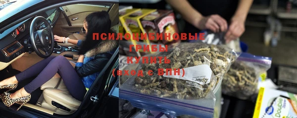 эйфоретик Заводоуковск